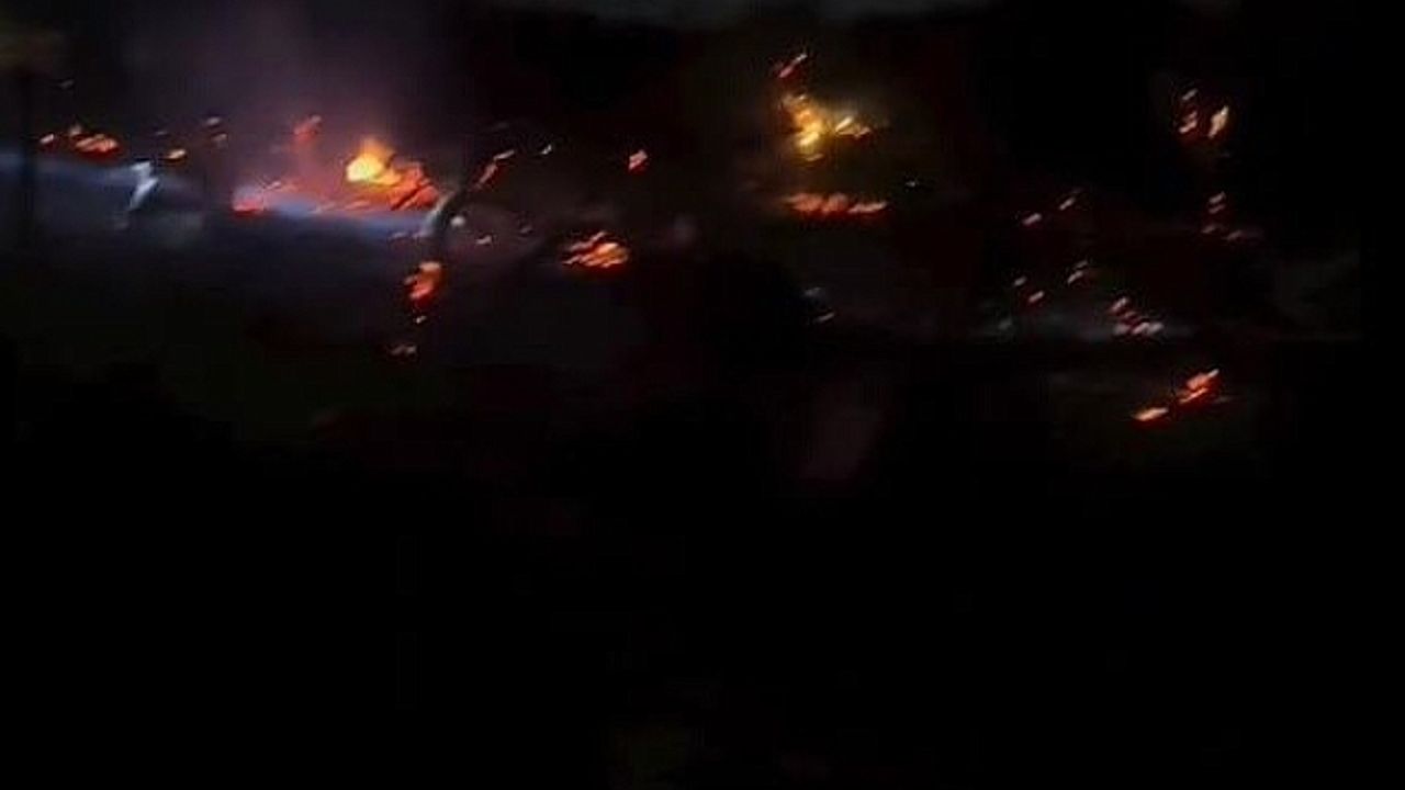 Yalova''da orman yangını