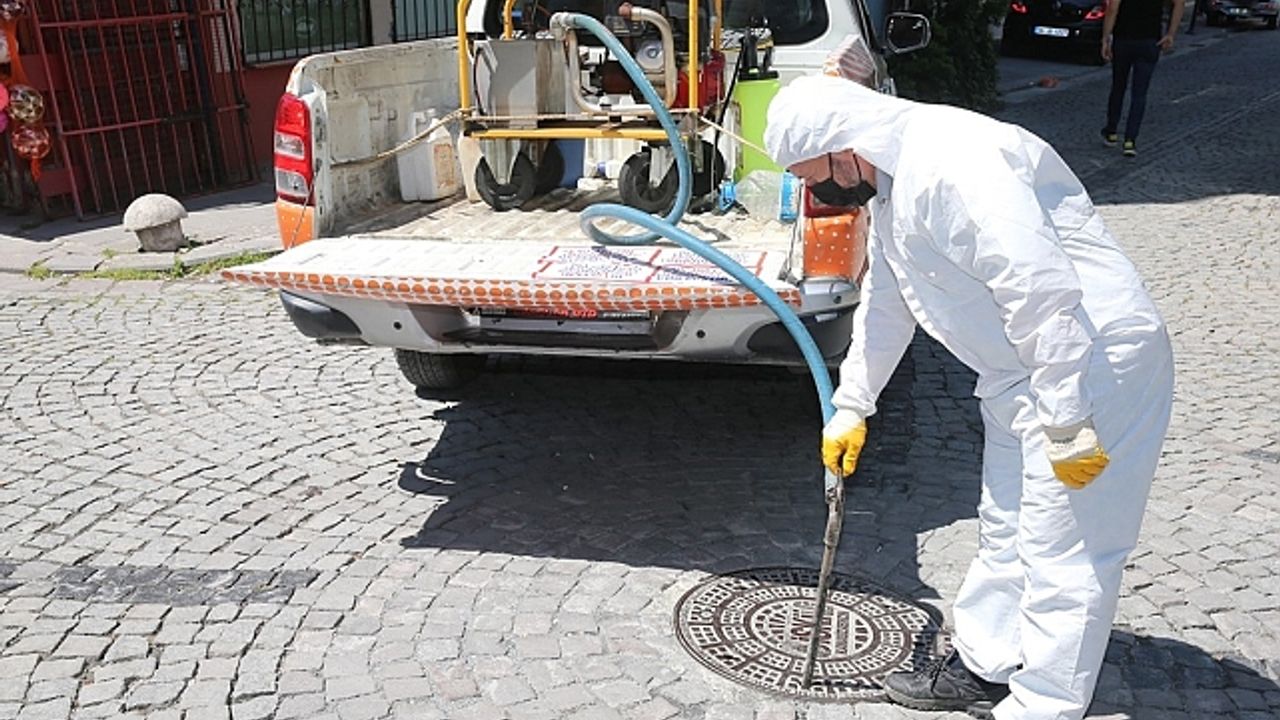 Zeytinburnu Belediyesi''nden sivrisinek sorununa erken müdahale