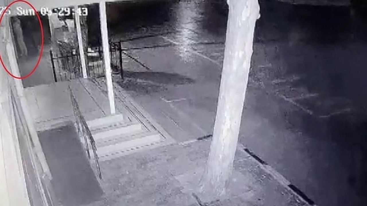 Atatürk büstünü çalan hırsız tutuklandı