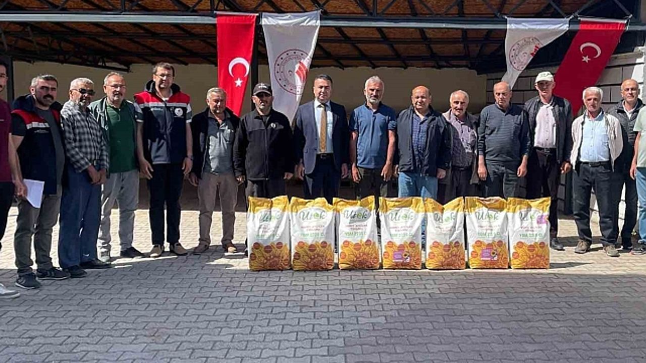 Beyşehir''de ayçiçeği ekimi ile tarlalar sarıya boyanacak