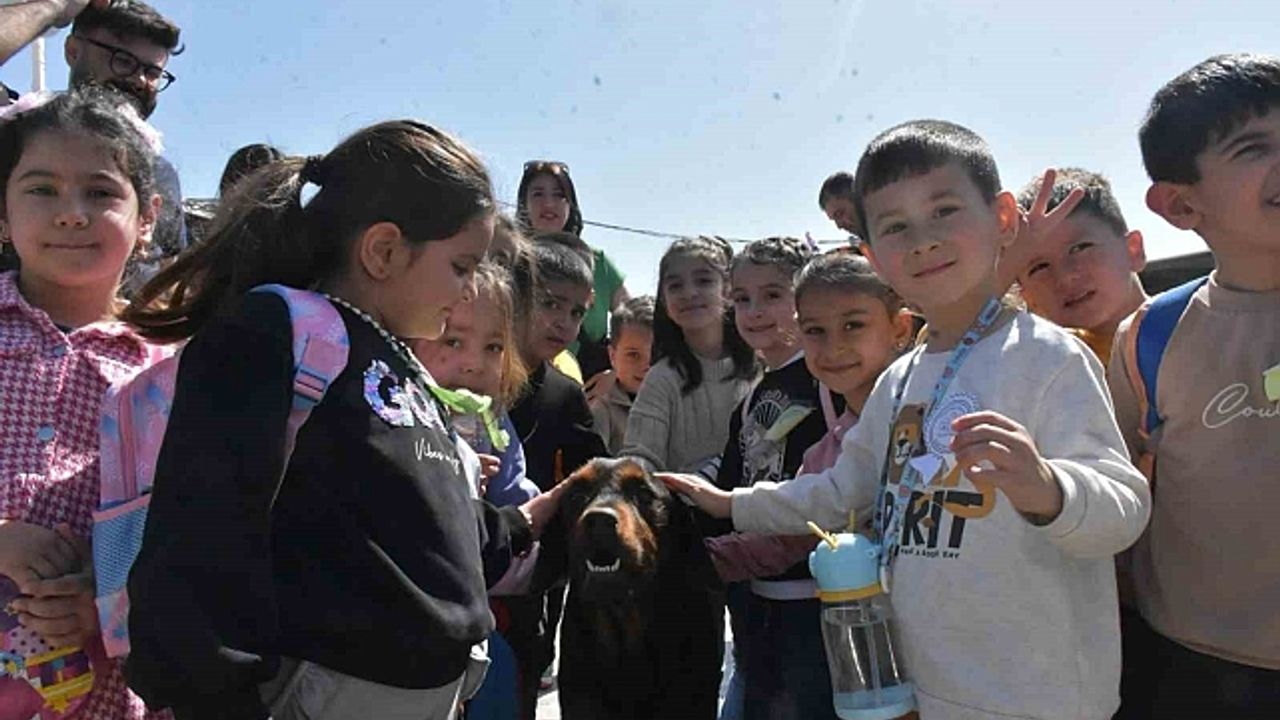 Didim''de minik öğrenciler patili dostlarla bir araya geldi