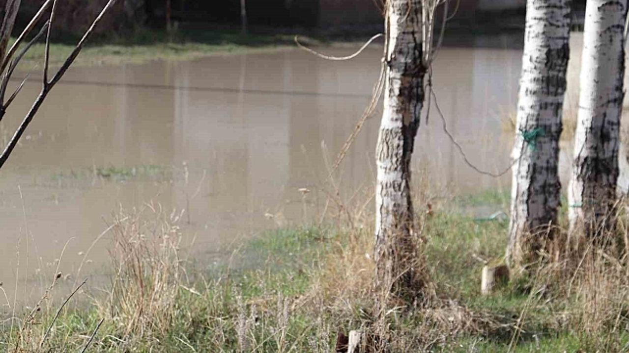 Diyadin''de bahçeler göle döndü