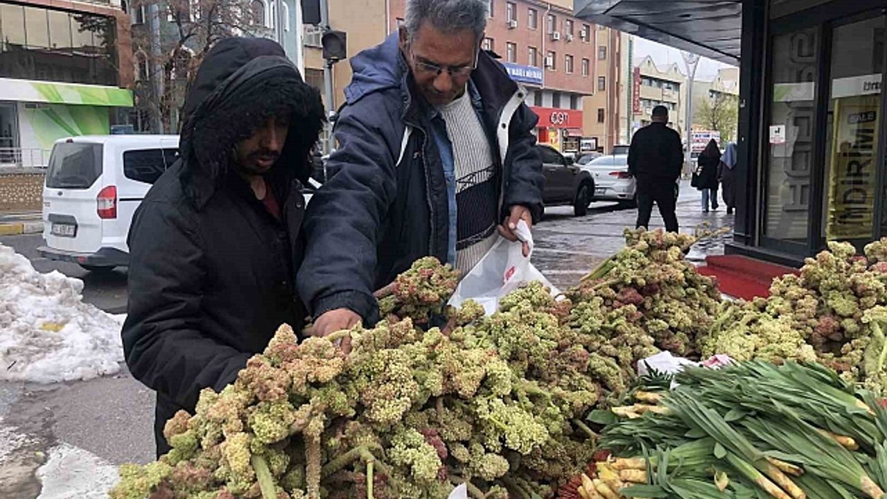 Erzincan''da ''yayla muzunun'' destesi 100 ila 300 TL''den satışta