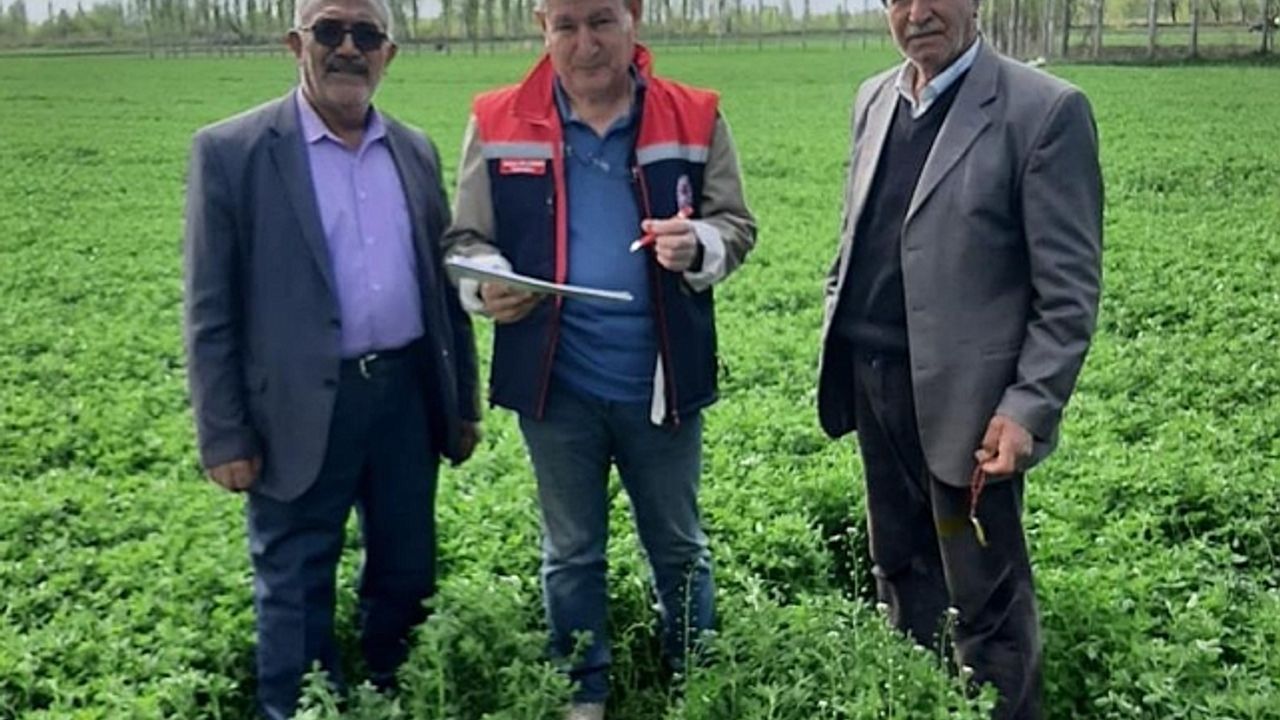 Iğdır''da yem kontrolleri devam ediyor