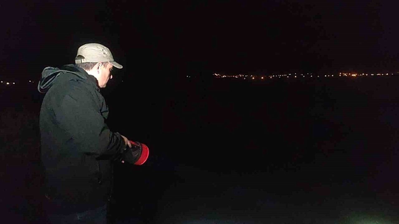 İnci kefalinin tatlı sulara göçü başladı
