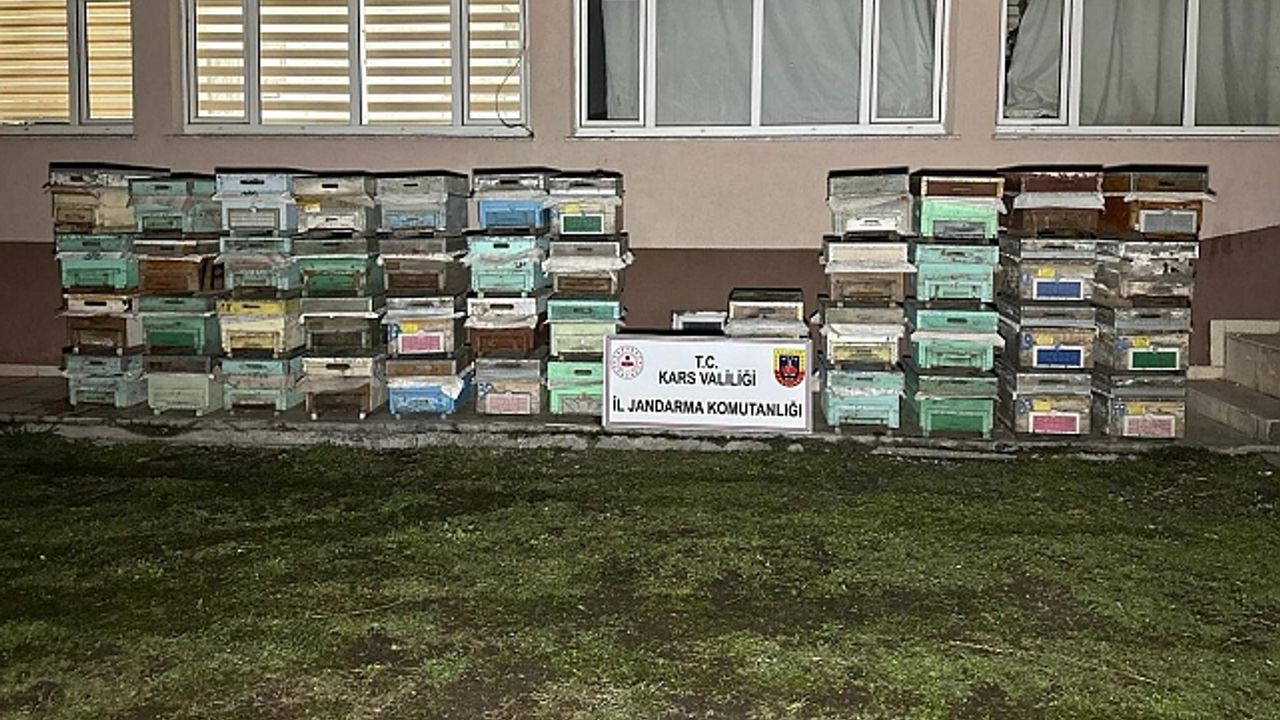 Kağızman''da arı kovanı hırsızları yakalandı