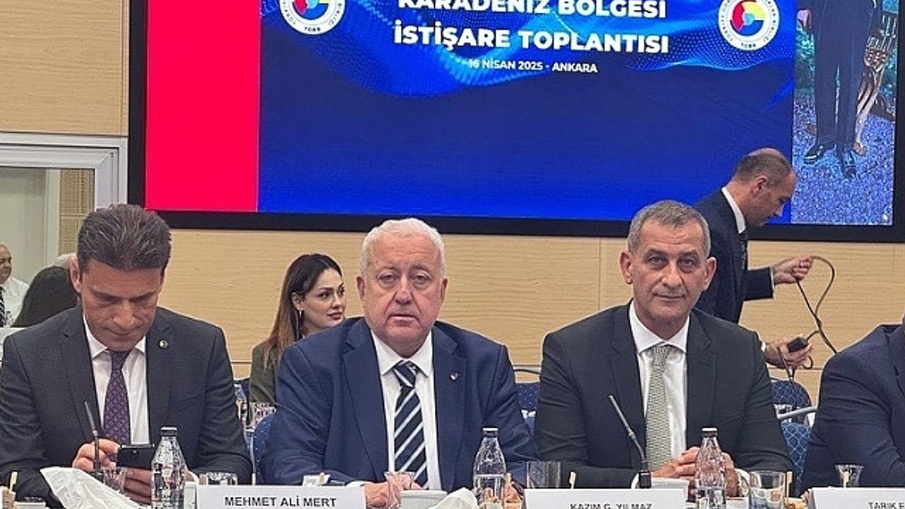 Karadeniz Bölgesi İstişare Toplantısı