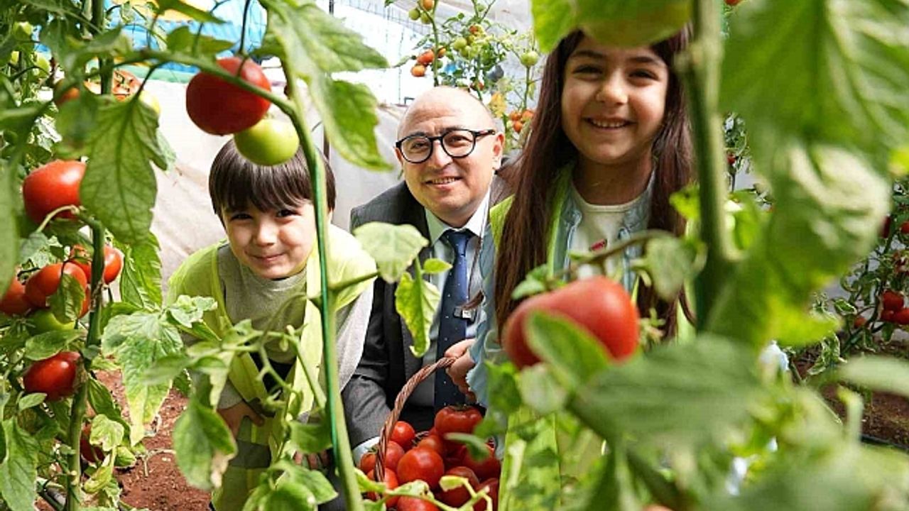 Minikler ''Çocuk Serası''nda yetiştirdikleri ürünleri hasat etti