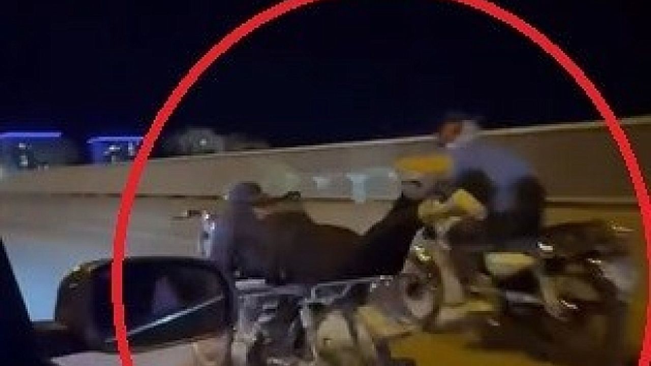 Ölümüne eğlence 7 bin 672 TL''ye patladı