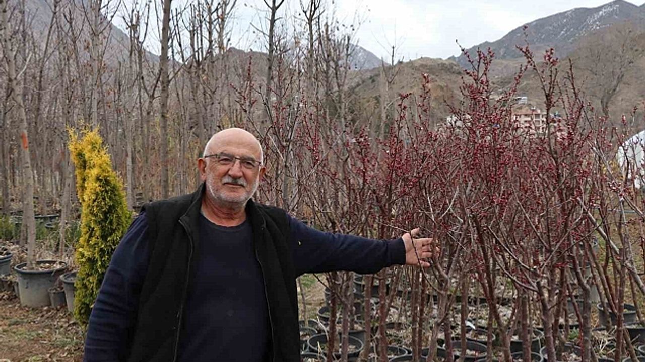 Ömrünü fidan üretimine adadı