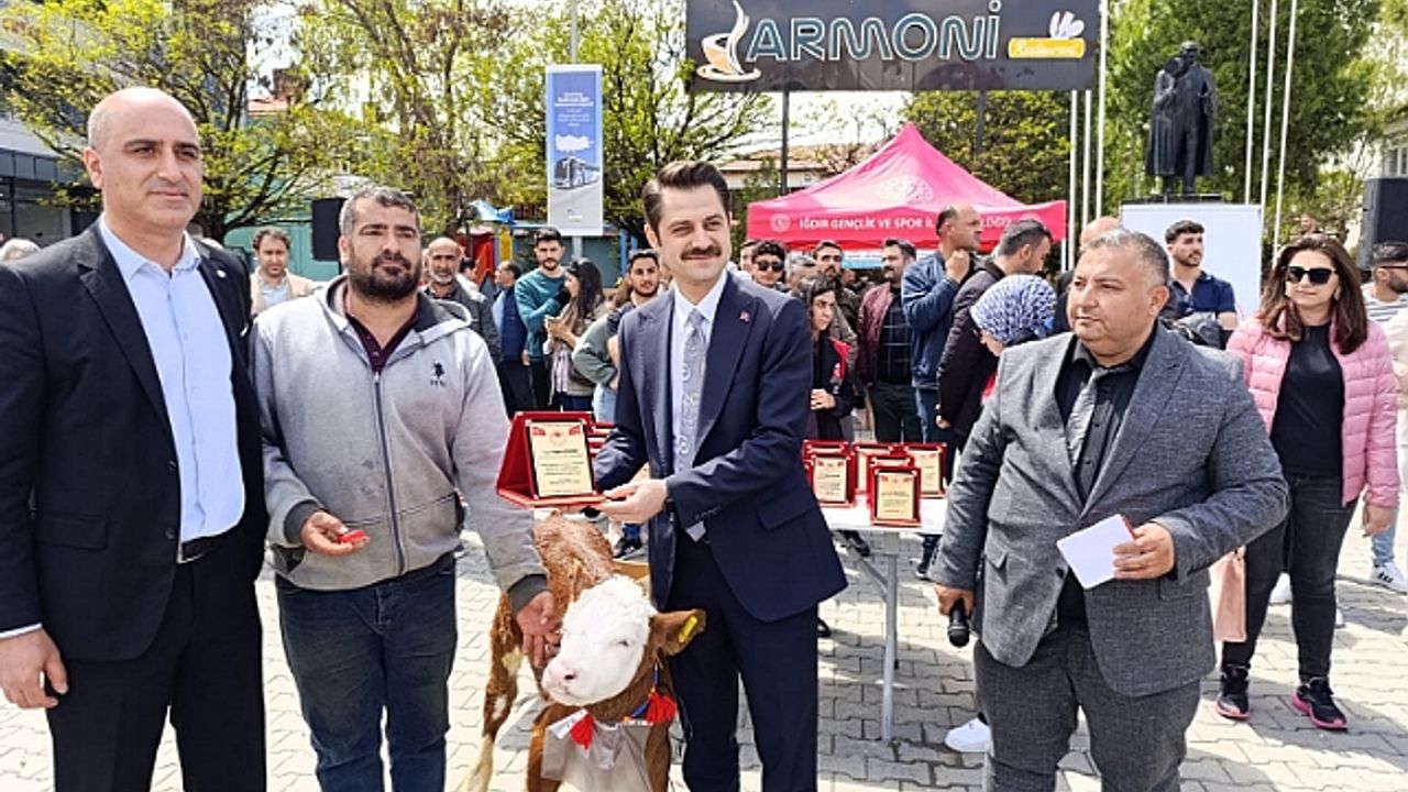 Tuzluca"da 6. Buzağı, Oğlak ve Kuzu Güzellik Yarışması Büyük İlgi Gördü