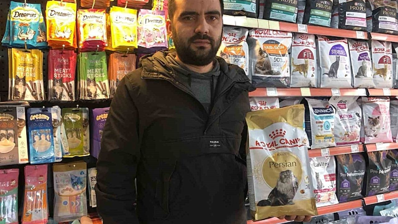 Hevesle sahiplenilip sokağa bırakılan cins hayvanlar sorunlarıyla baş başa kalıyor