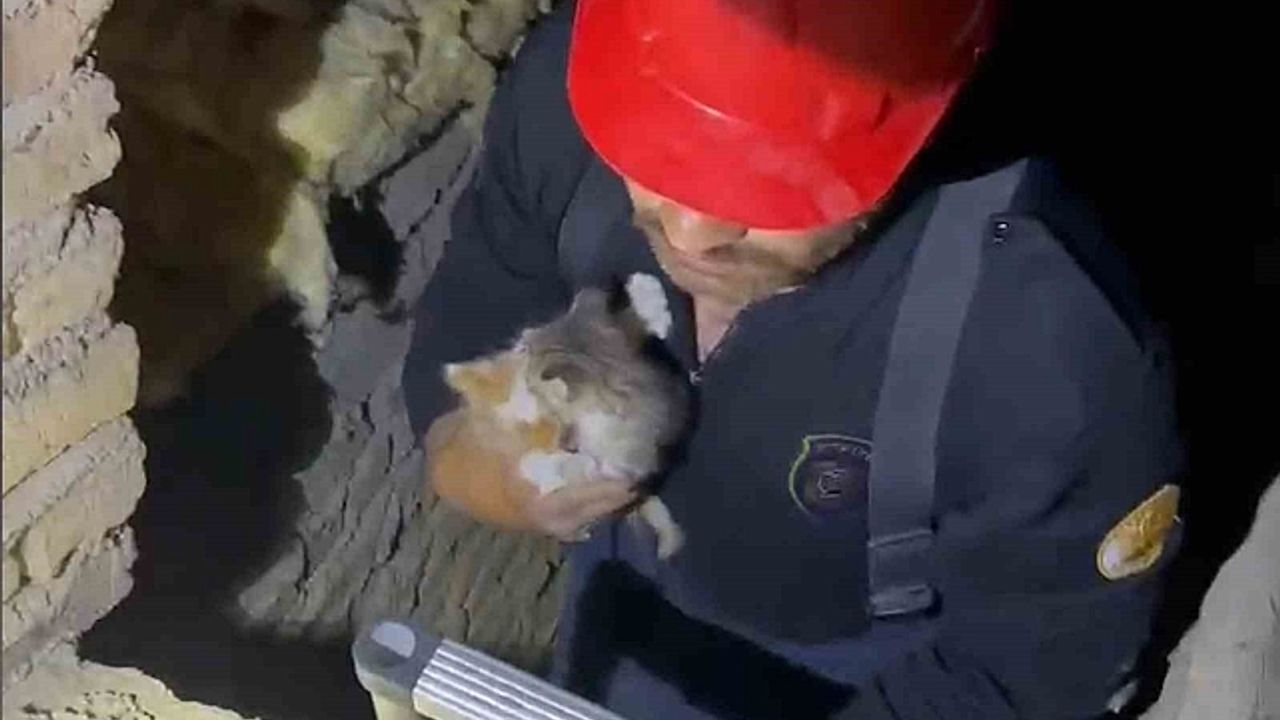 Kırıkkale''de havalandırma boşluğuna düşen yavru kediler kurtarıldı