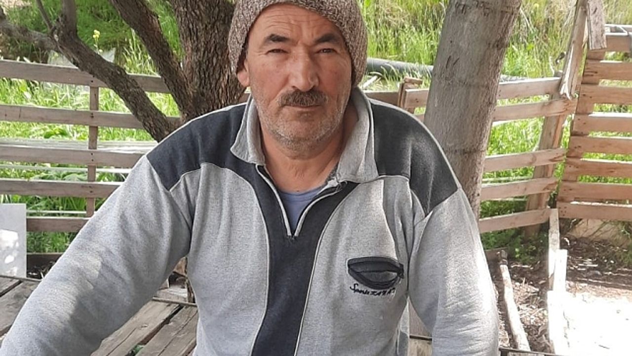 Kurt, kurbanlık kuzuları telef etti