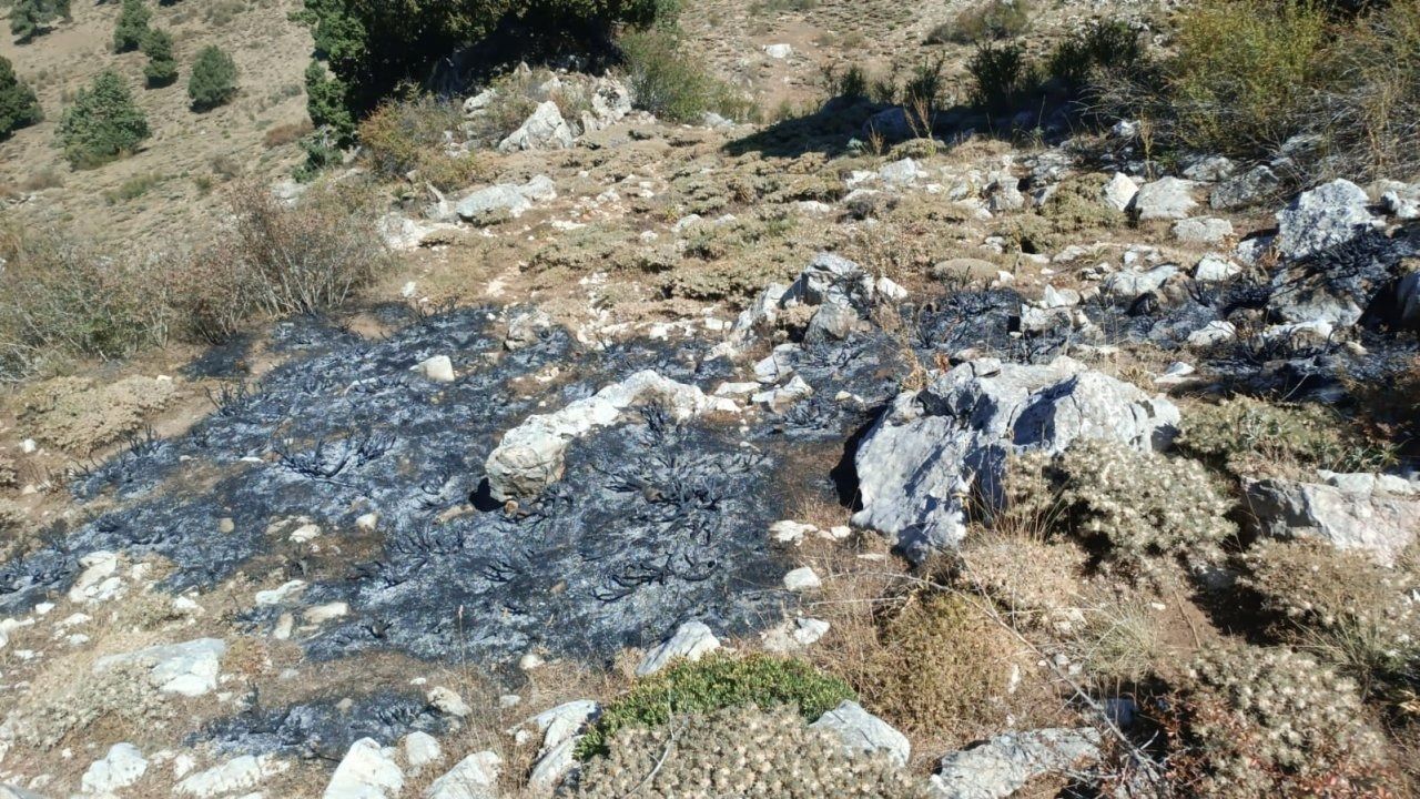 Burdur"da çalılık alanda yangın