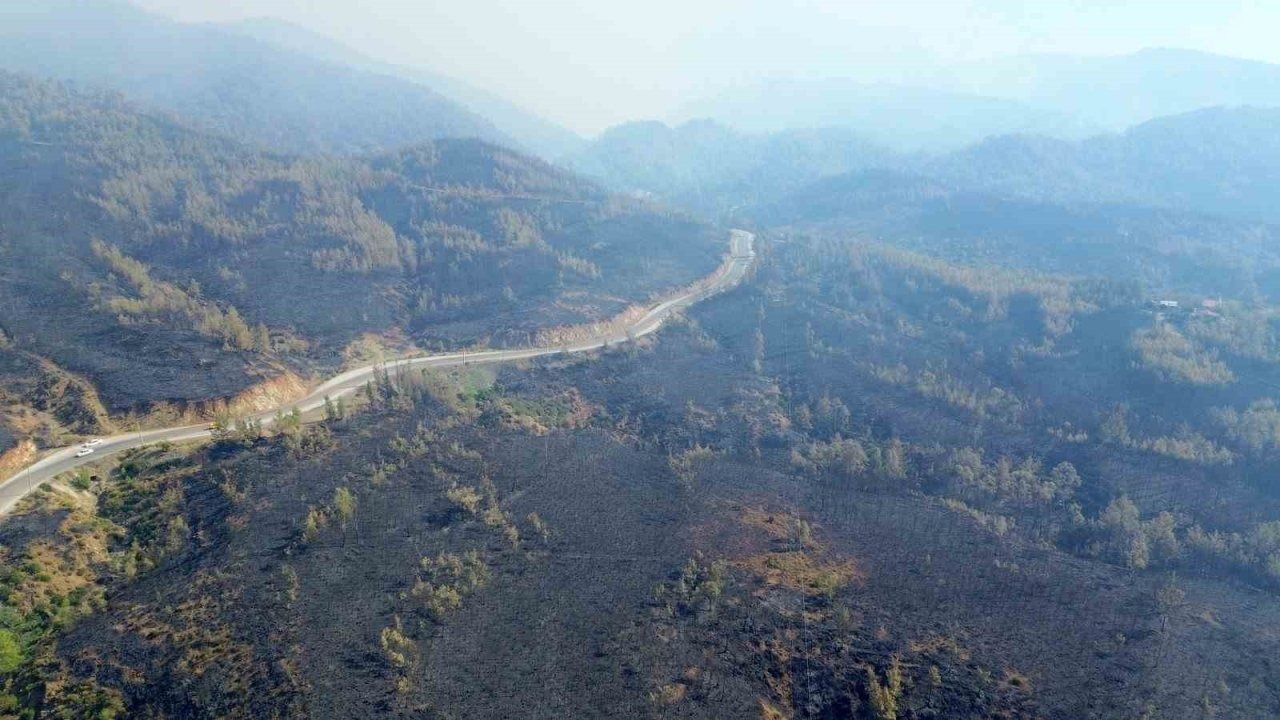 Muğla"da yangın felaketinin boyutu drone görüntüleriyle ortaya çıktı