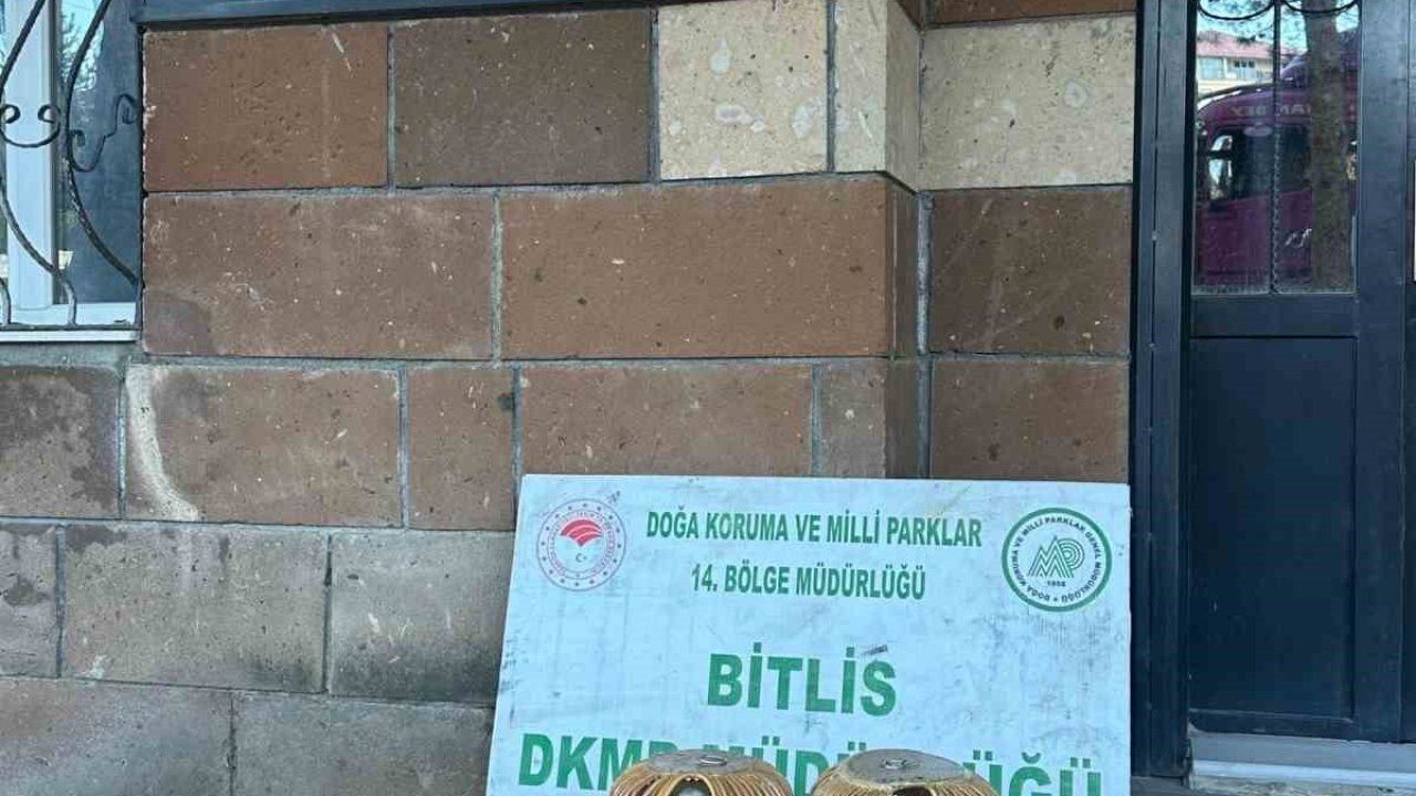 Bitlis"te kaçak keklik avına 101 bin 710 lira para cezası