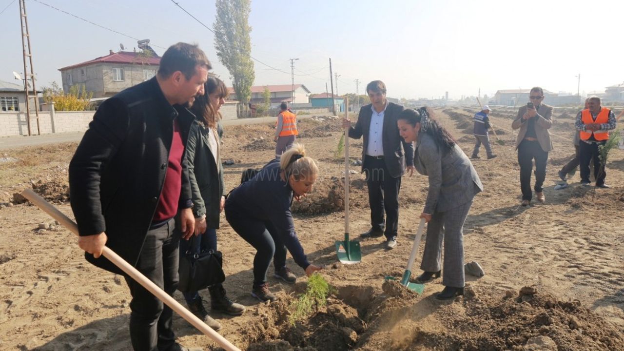 BELEDİYE ÇALIŞANLARI VE MECLİS ÜYELERİ İLE BİRLİKTE 934 ADET FİDAN DİKİLDİ