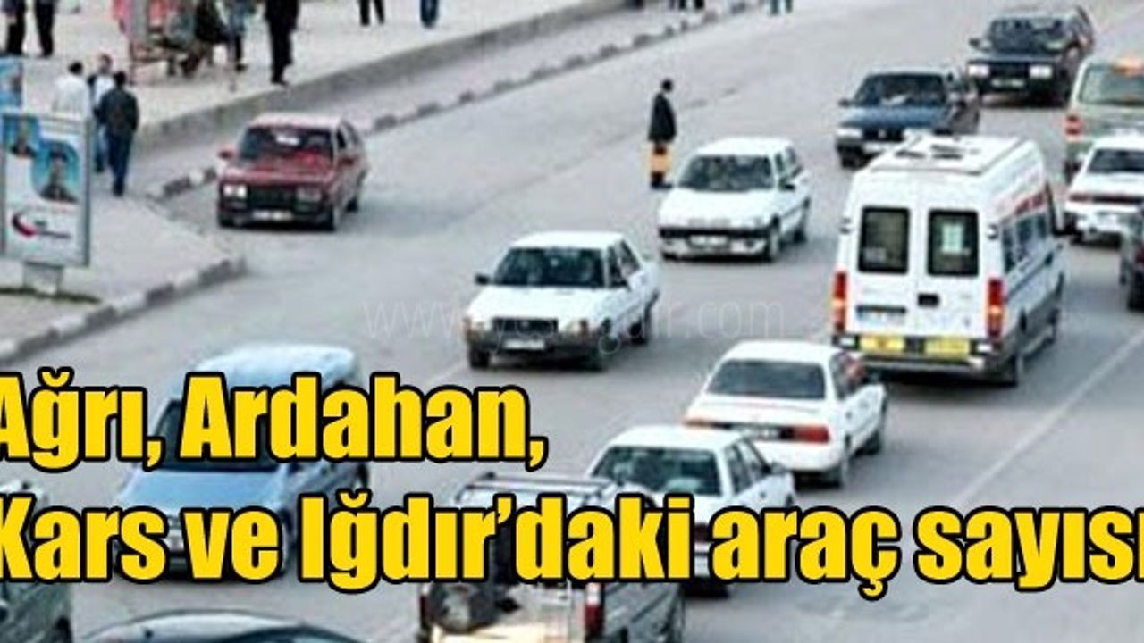 Iğdırda Ocak ayı itibariyle trafiğe kayıtlı araç sayısı 31 bin 969 oldu