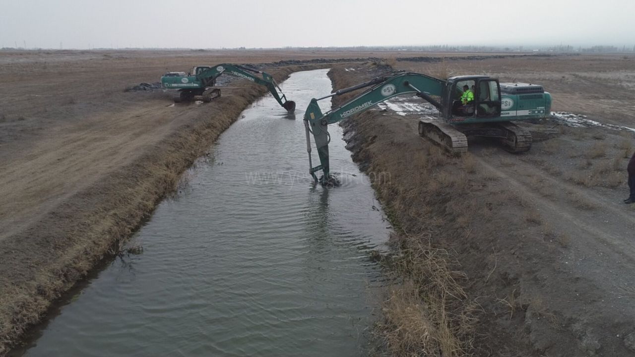 YEŞİL KARINCALARIMIZ DOĞUNUN  ÇUKUROVASI IĞDIR İLİNDE ARALIKSIZ ÇALIŞIYOR