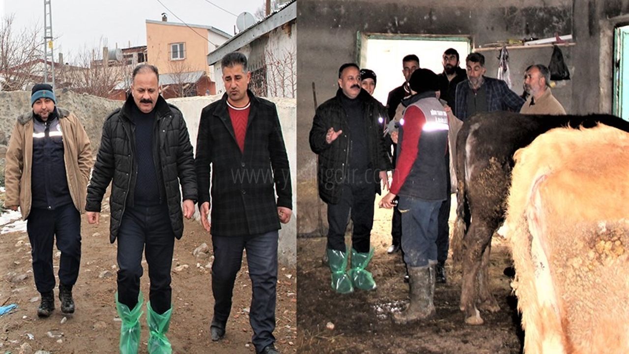 İL TARIM VE ORMAN MÜDÜRÜ ÖZKAN YOLCU AŞILAMA ÇALIŞMALARINI YERİNDE İNCELİYOR