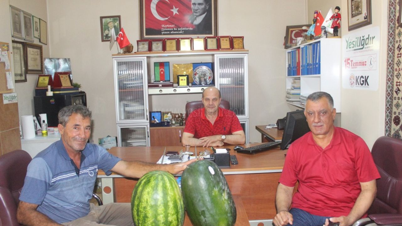 IĞDIR KARPUZU DİYARBAKIR KARPUZUNA RAKİP OLDU
