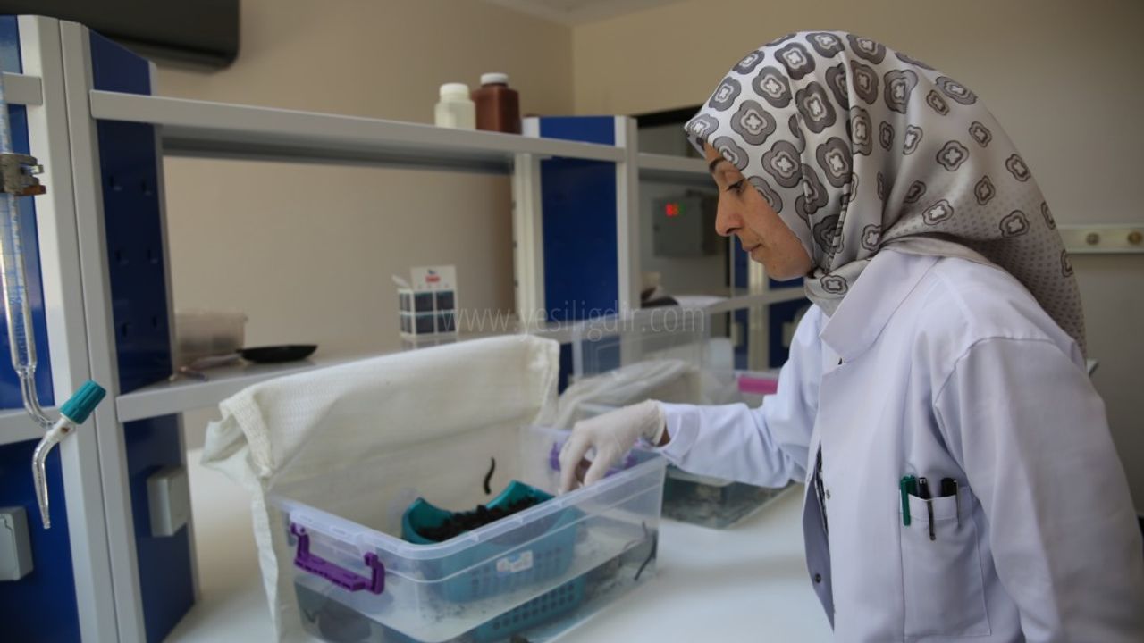 Iğdır Üniversitesinden Sülük Yetiştiriciliğine Destek