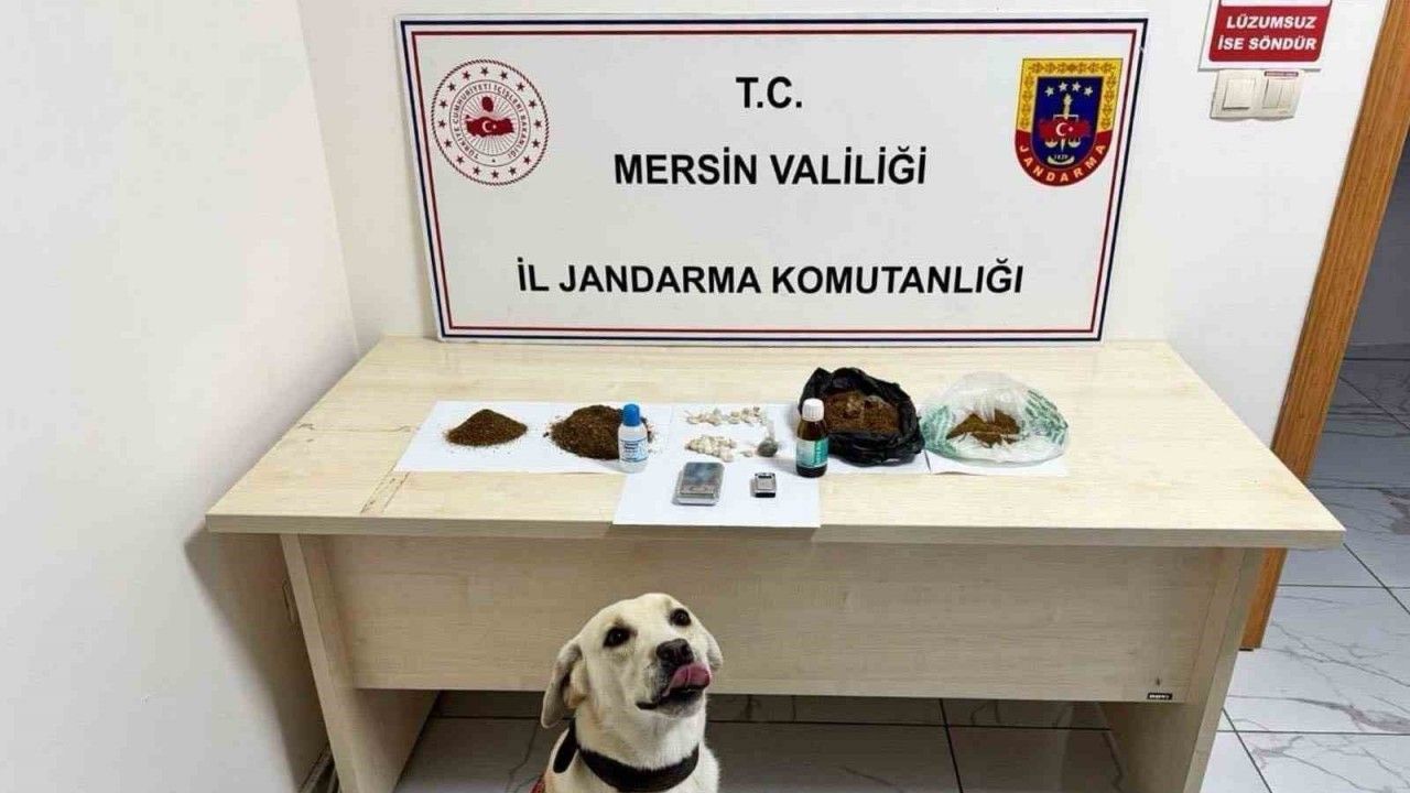 5 şüpheli tutuklandı
