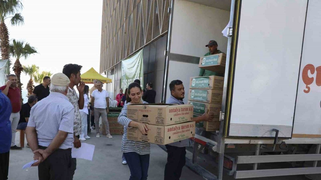 Mersin’de üreticiye fide ve güneş paneli desteği