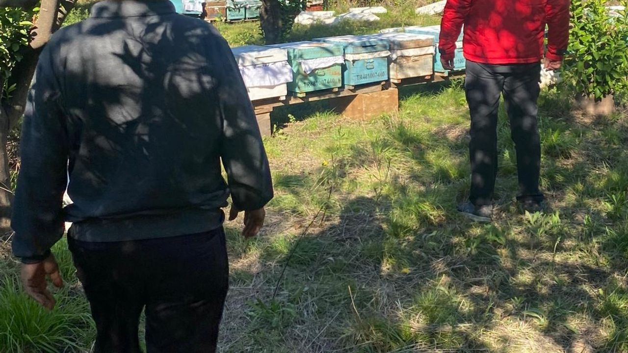 Ortaca’da arılı kovan desteklemeleri devam ediyor