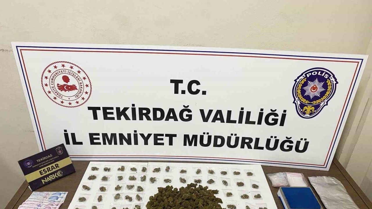 Torbacılara geçit yok: 12 kişi tutuklandı