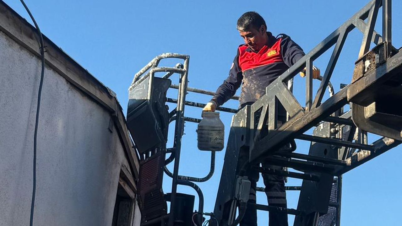 Duyarlı SYDV Personellerinden Örnek Davranış: Mahsur Kalan Yavru Kedi Kurtarıldı