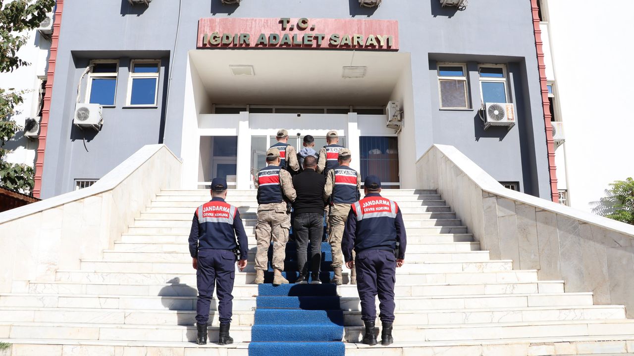 IĞDIR’DA KÖPEK DÖVÜŞÜNE SUÇÜSTÜ OPERASYON: 14 GÖZALTI