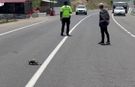 Hınıs'ta yürekleri ısıtan görüntü: Polis memuru kaplumbağa için trafiği durdurdu