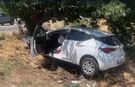 Sollama yaparken ağaca çarptı: 4 ağır yaralı