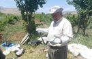 Bir vatandaş yakaladığı yılanı doğaya bıraktı