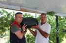 Iğdır'da 40 Kilograma Yaklaşan Karpuzlar Piyasada...