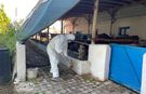 IĞDIR’DA YETİŞTİRİCİLERE ŞAP HASTALIĞINA KARŞI DEZENFEKSİYON EĞİTİMİ