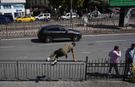 Karaköy'de yayaların bariyerlerle imtihanı, alt geçit var, kısa yol yok