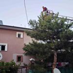 Apartman çatısında mahsur kalan kedi itfaiye ekiplerince kurtarıldı
