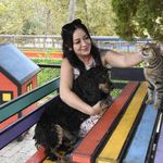 Kuşadası Belediyesi 3 bin 518 sokak hayvanını ömürlük yuvasına kavuşturdu