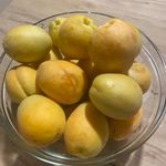 Kayısı Afetine Yardım Geliyor