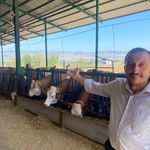 Kaliteli süt nasıl olmalı