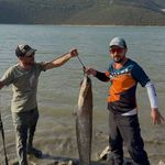 Turna avına çıkan balıkçıların oltasına 127 santimlik dev yayın takıldı