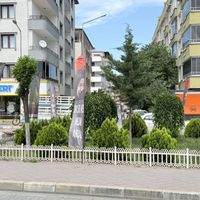 Genel