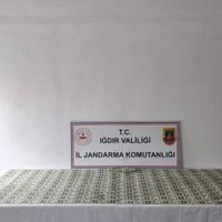 Asayiş