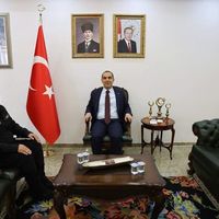 Genel
