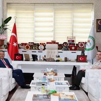 Eğitim