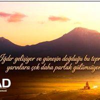 Genel
