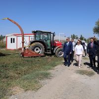 Eğitim